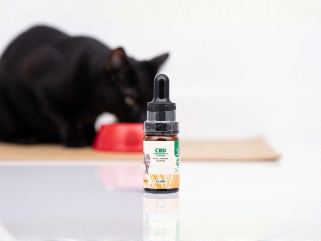 Óleo de fígado de bacalhau com CBD: o que é e o que deve considerar 3 óleo de fígado de bacalhau com CBD para gatos em ambiente doméstico