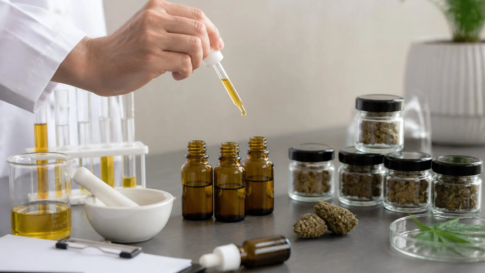 Como avançar com Diferenças entre os óleos de CBD